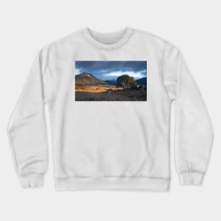 The Landscape Crewneck Sweatshirt